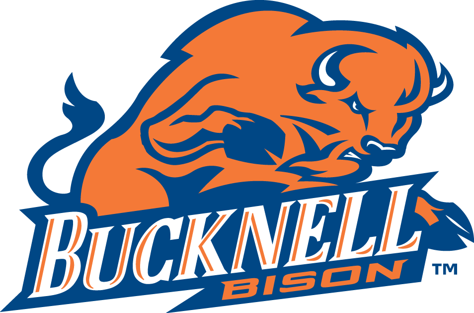 Bucknell Bison 2002-Pres Primary Logo diy fabric transfer